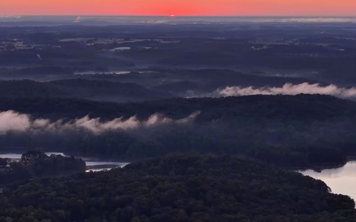 Amanecer con niebla sobre el lago y el bosque de Carolina del Sur